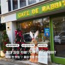 달콤한 토끼 | 홍대 감성 카페, 카페드래빗에서 만난 시그니처 크림라떼와 달콤한 마들렌♡찐찐후기