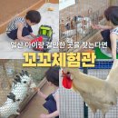 일산 체험으로 추천하는 꼬꼬체험관 6세 후기