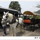 가마 이미지