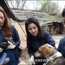 김창현농장 이미지