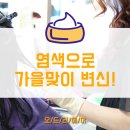 알파미용실 - 순창군 순창로 201 | 알파미용실