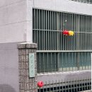 소국 | 경산 신점 후기, 소국천신당에서 새해 마음 정리