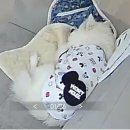 중리서로 | 벌써 첫번째 결혼기념일 ! / 251101 ~ 251130