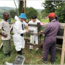 현지네 축산 이미지