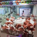 XTOP 오락실 이미지