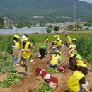 행복나들이 불은마을 이미지