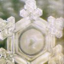 올젠테크놀로지 이미지