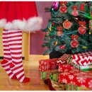 매일크리스마스 이미지