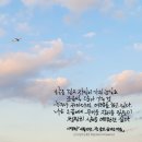 글씨여행 캘리그라피 이미지