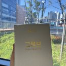 심플루틴 식이섬유 환 그루브 올데이톡 구매 후기