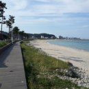 동해바다 이미지