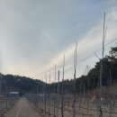 맹순이네