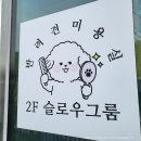 slow groom 이미지