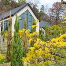 숲속 빵마을 카페 뻐터우드 | 오창대형카페 오창 버터떡 베이커리카페 봄이 피어나는 숲이그린정원