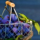 전동떡갈비앤브리즈 | 전주 한옥마을 찐맛집 10곳 추천