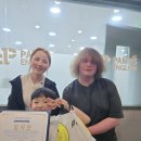 대하초등학교 이미지