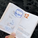 젠틀리조트 이미지