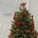 르망플라워 | 2동탄꽃집 정성을 담은 꽃구경, 르망플라워 후기