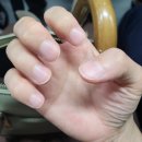 도봉-쌍문-도봉-1356 | [도봉구 쌍문역 네일아트] 생화네일 추천 솔직후기 (쌍문역네일/창동네일/쌍문네일아트맛집)