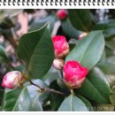 유관순열사생가 이미지