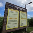 우도전망대 | 성산일출봉 무료탐방구간 해녀의집 보트체험장 우도전망대 관람후기