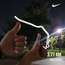 빨간포크 | 서브웨이 메뉴추천! 타코샐러드 폴드포크 &amp; 스파이시 쉬림프 샌드위치 칼로리 및 후기