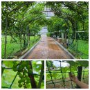 월드스크린4호 태양광발전소 | 국립과천과학관의 짜릿한 지진체험과 다양한 볼거리! 재밌는 체험들을 소개합니다.