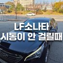 별빛소나타 | LF소나타 시동이 안 걸릴때. 배터리 문제가 아니라면?