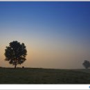 안성농장 이미지