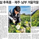 성산일출봉농업협동조합 농산물산지유통센터 이미지