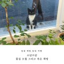 꽃집;오월그리고작은책방 | 소담쓰담ㅣ꽃집 오월 그리고 작은 책방ㅣ울산의 적고 소중한 독립 서점들 3