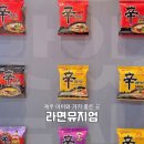 신화프라자 | 제주 라면뮤지엄 후기｜신화월드 근처 실내 관광지 이색체험