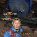 정글의법칙 - 아산시 신정로 434 | 정글의법칙
