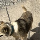 운암밸리 이미지