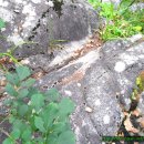 정선고등학교 이미지