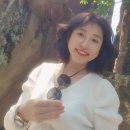 #향기 날리는 나의 보물/김현주 시인 이미지