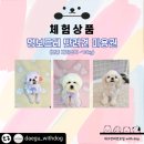 멍보드레 이미지