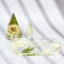 그린장미아파트경로당 | [공지] 용인 부케 말리기 업체 찾는다면? 사비나공방의 고퀄리티 부케 기프트 후기