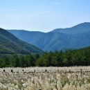 영남알프스펜션 이미지