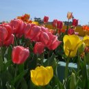 대흥자동차 이미지