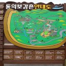 동의보감한의원 이미지