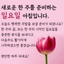낙담될때, 사필귀정(事必歸正)을 음미합니다. 이미지
