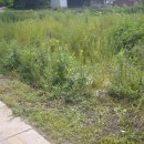 매포읍사무소 이미지