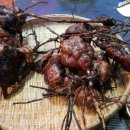 24시교동촌콩나물해장국밥 이미지