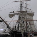 다운타운 이미지