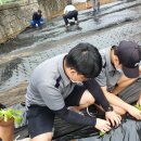 흥성농장 이미지