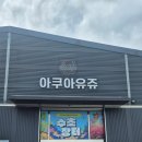 아쿠아유쥬 | 남양주 수족관 아쿠아유주 방문 후기 (서울 근교 수족관)