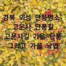 일직점곡로(일직면) 이미지