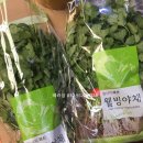 (주)테라팜 이미지