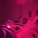 이세한의원 이미지